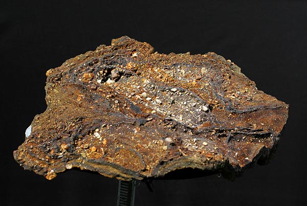 Chùm ảnh về khay đá tự nhiên để làm Bonsai – Walter Pall