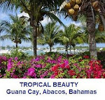 Bahamian Vacation Rentals