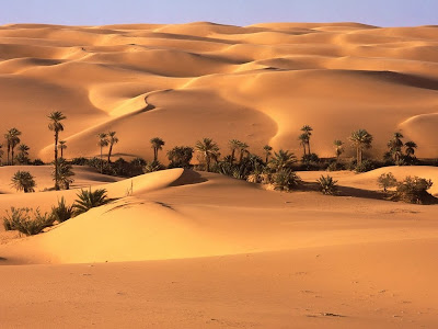 los desiertos mas grandes del mundo los desiertos mas grandes del mundo