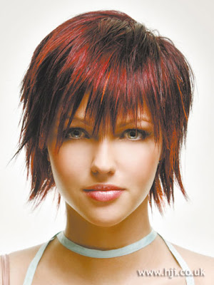 Anna Sophia Robb medium length hairstyle for women 2009-2010
