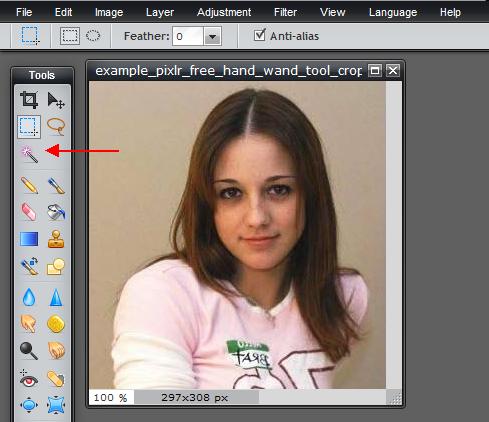 example_pixlr_free_hand_wand_tool_cropping_editing_cutting_image_online_Step1.JPG