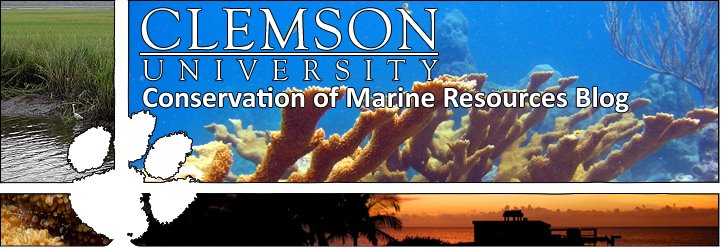 Conservation of Marine Resources