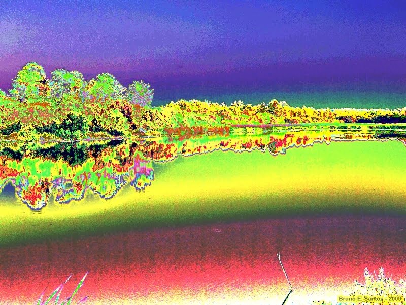 [Lag_TM_BD3_Set2009.JPG]