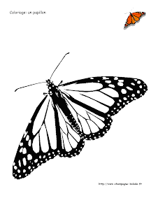 coloriage prescolaire papillon aile maternelle coloriage prescolaire papillon aile maternelle