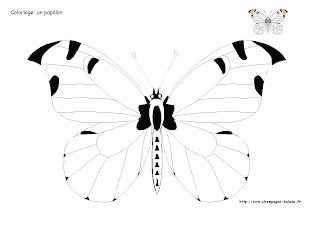 coloriage papillon jaune blanc maternelle cycle 1 prescolaire coloriage papillon jaune blanc maternelle cycle 1 prescolaire