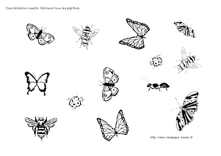 discrimination visuelle insecte papillon coccinelle cycle 1 prescolaire PS discrimination visuelle insecte papillon coccinelle cycle 1 prescolaire PS