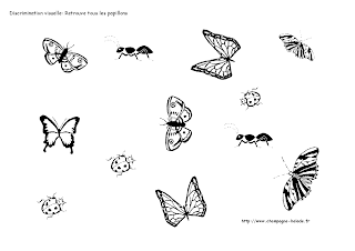 toute petite section discrimination visuelle insecte papillon prescolaire TPS PS