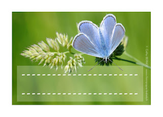 étiquette enfant à imprimer insecte: le papillon