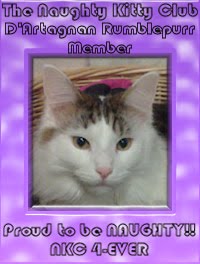 d'Artagnan Rumblepurr "Rumbles"
