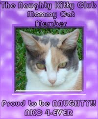Mommy Cat