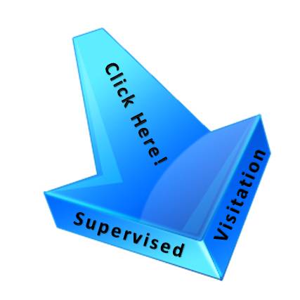 GPS SUPERVISED VISITATION / Part 161 / For Love and For Justice