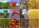COTAÇÕES RURAIS - Agricultura, Pecuária etc
