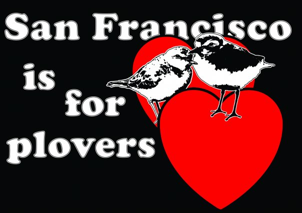 San Francisco is for Plovers