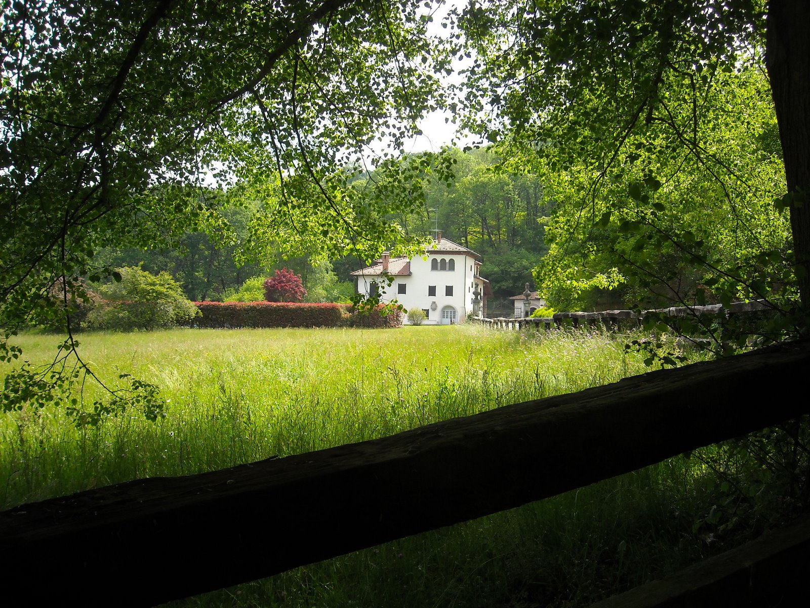 [DSCN0510.JPG]