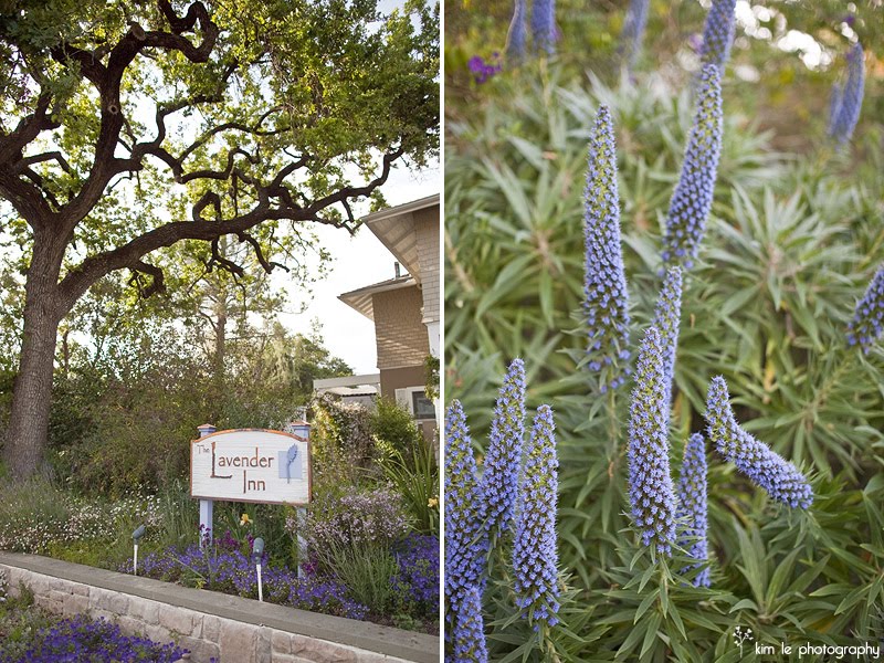 as promised here is part two of megan nick 39s charming ranch wedding by