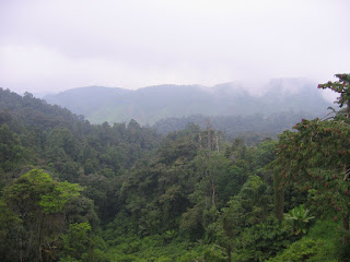 View near Tanah Rata