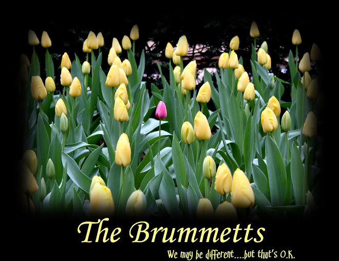 The Brummetts