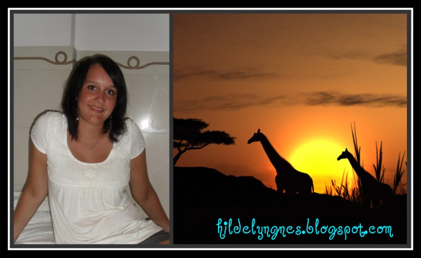 Hilde`s blogg