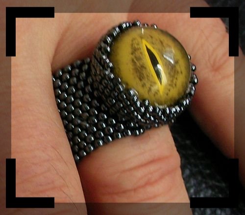 [Reptilienaugenring+Micha+1.JPG]