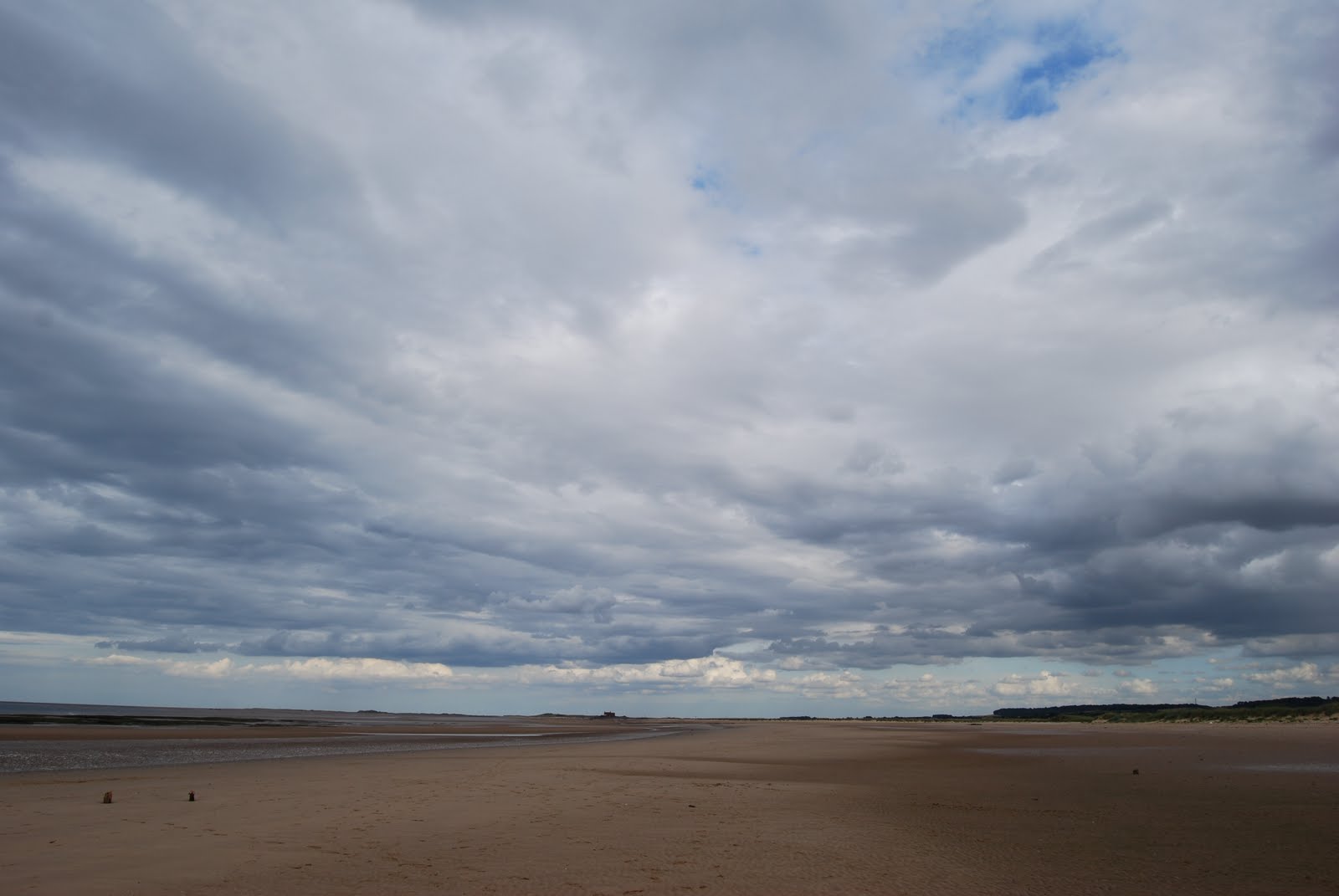 [DSC_0112.JPG]