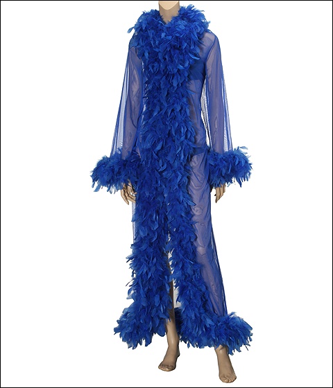 [robe.jpg]
