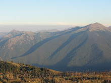 From Blue Mountain in Olympic National Park