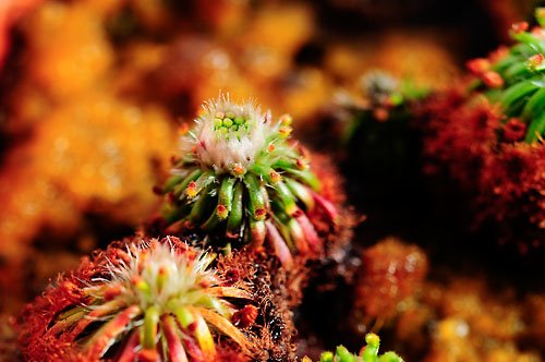 [03-20081208-006.JPG]