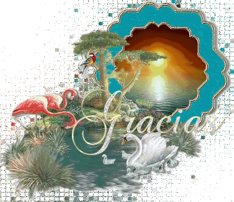 [47164gracias101mv[1].gif]