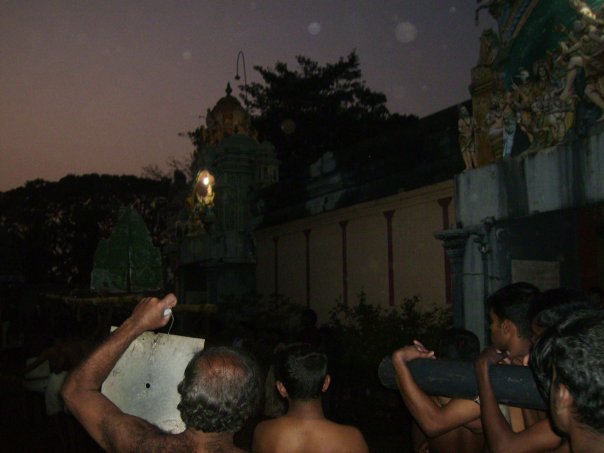 [n840915509_5137930_474.jpg]