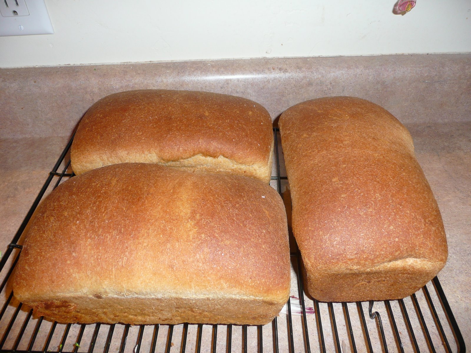 [wheat+bread.jpg]