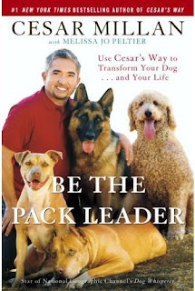 Business Lesson: Cesar Millan Book