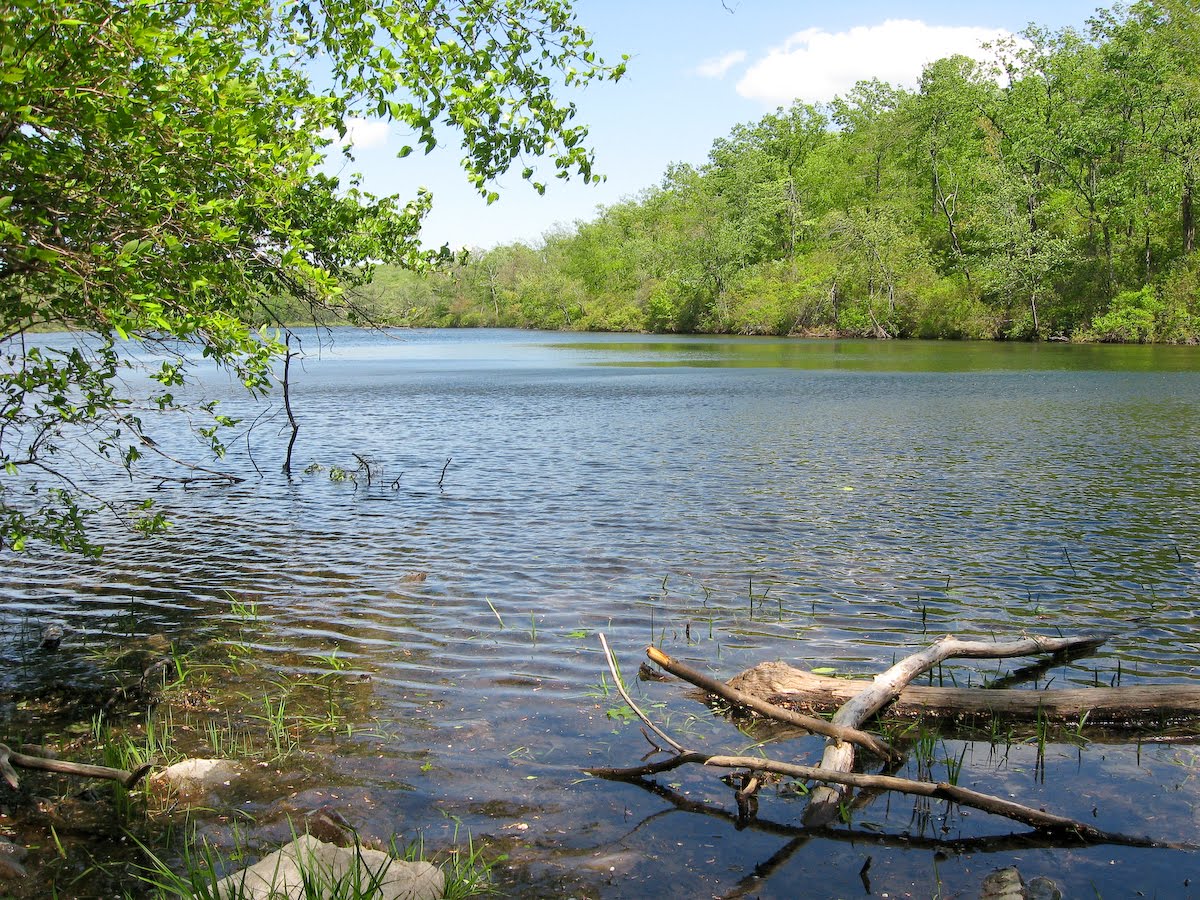 Let It Shine Delaware Water Gap and Sunfish Pond