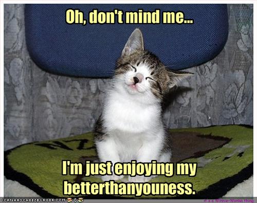 funny cats with words. funny cats pictures with words. funny cats pics with words.