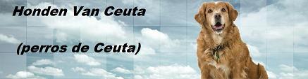 COLABORAN CON NOSOTROS