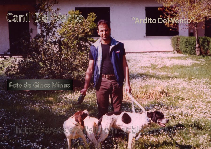 POINTER DEL VENTO: Maitê Proença