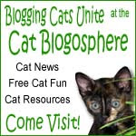 Cat bloggers are the best