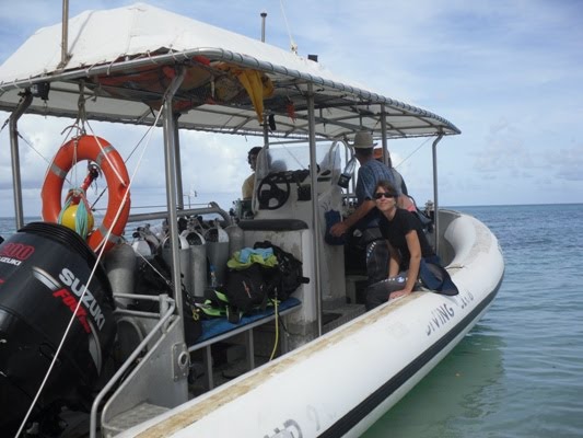 BAPTEME DE PLONGEE A L'ILOT GIE