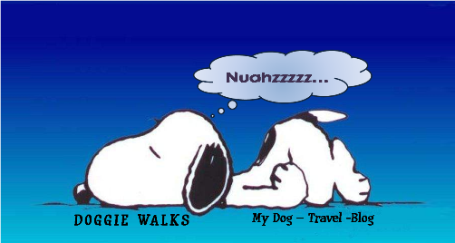 Doggie Walk