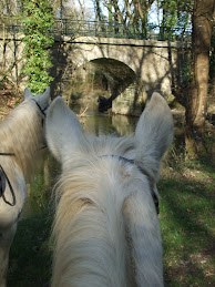 Sous le pont d'avignon!