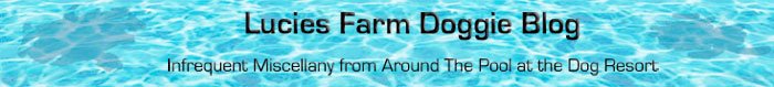 Lucies Farm Luxury Dog Hotel Doggie Blog