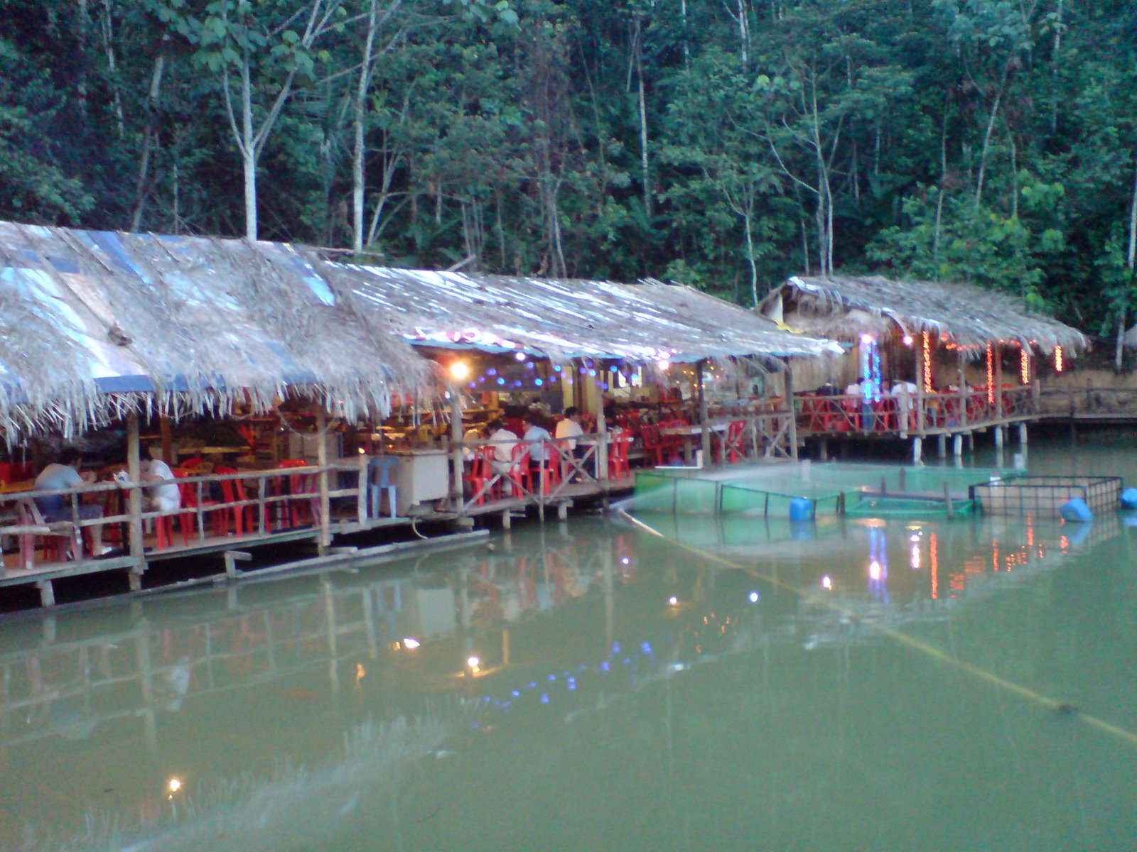 [DSC01259.JPG]