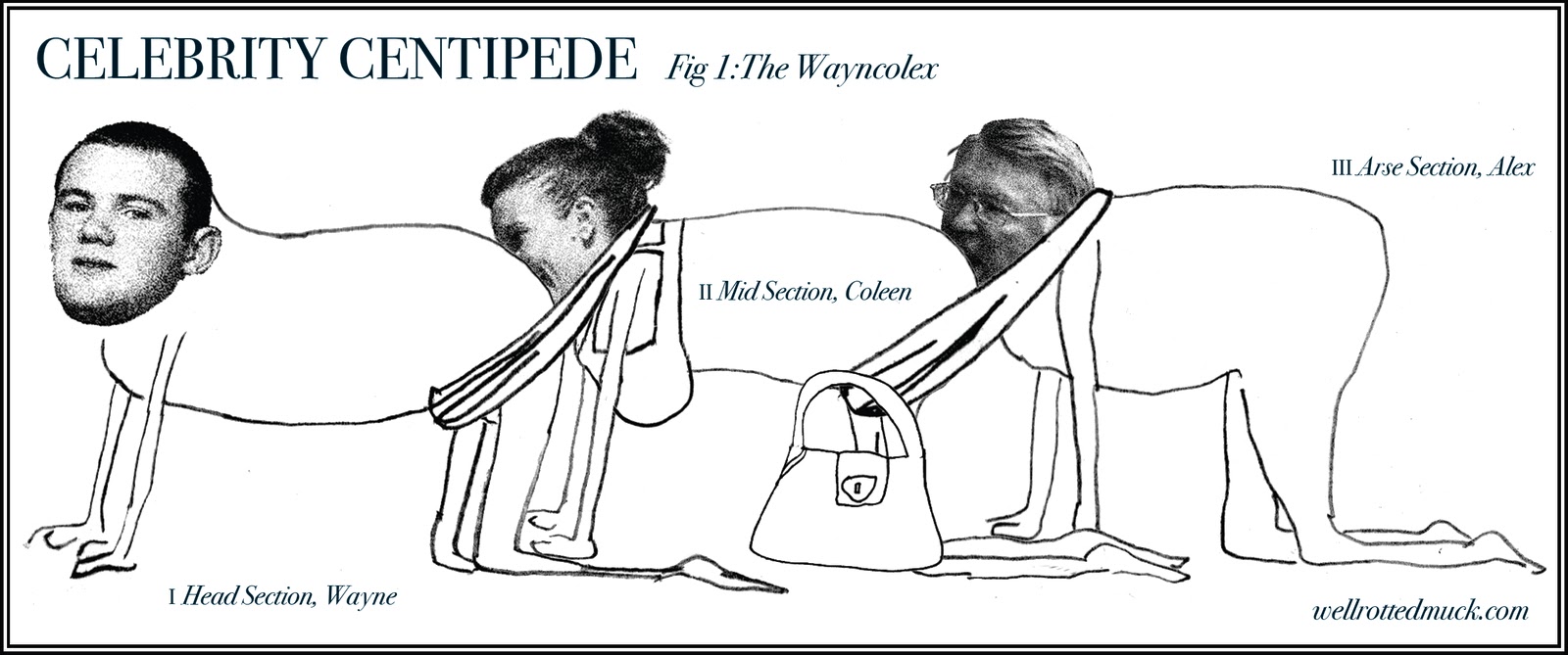 centipede cartoon pictures