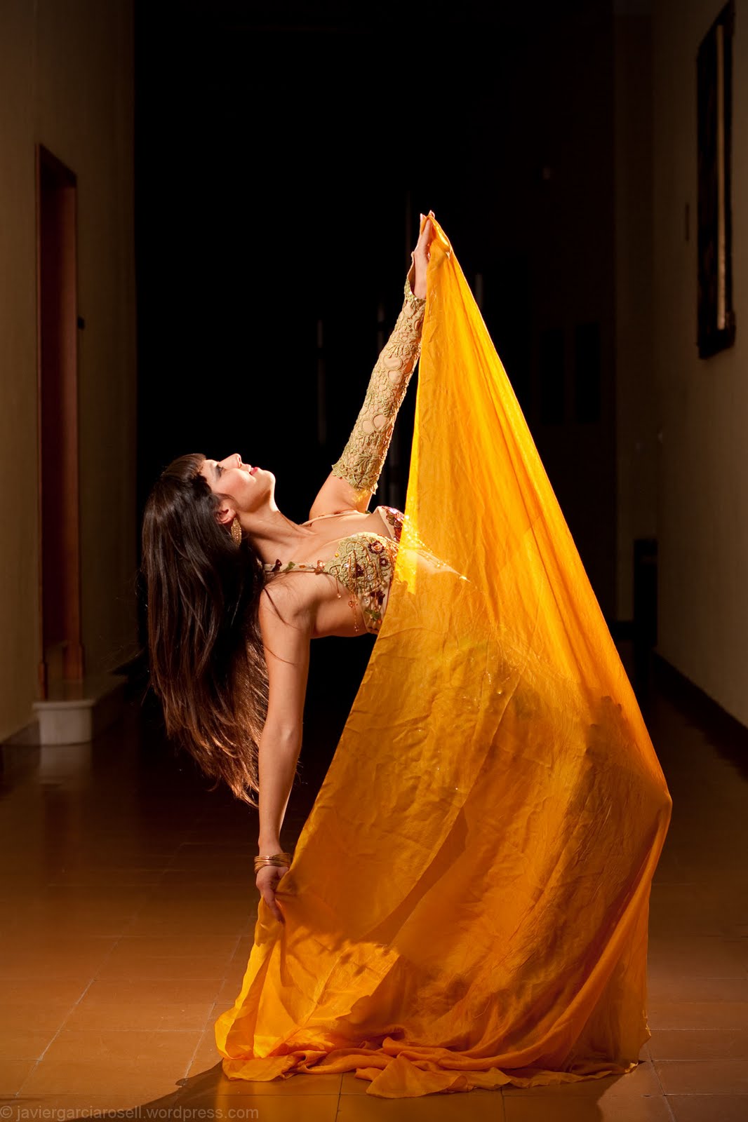 DANZA VELO danza velo: