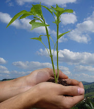 Cuidemos nuestro Planeta