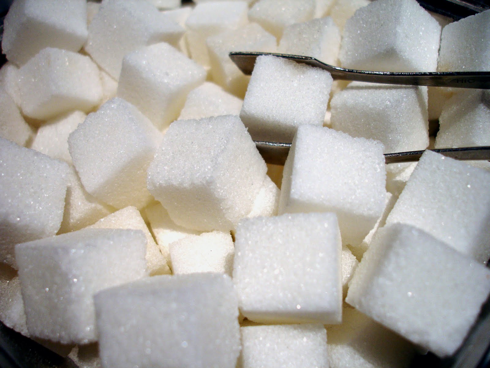 Sugar Cycle