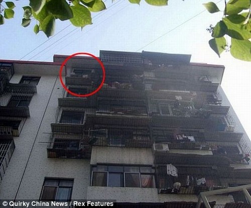 http://2.bp.blogspot.com/_jbuYMTKW3BE/TGi5Ia9SZqI/AAAAAAAAACc/6gVAJkN3PFA/s1600/savedbytheears3.jpg