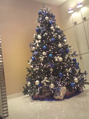[DSC01017.jpg]