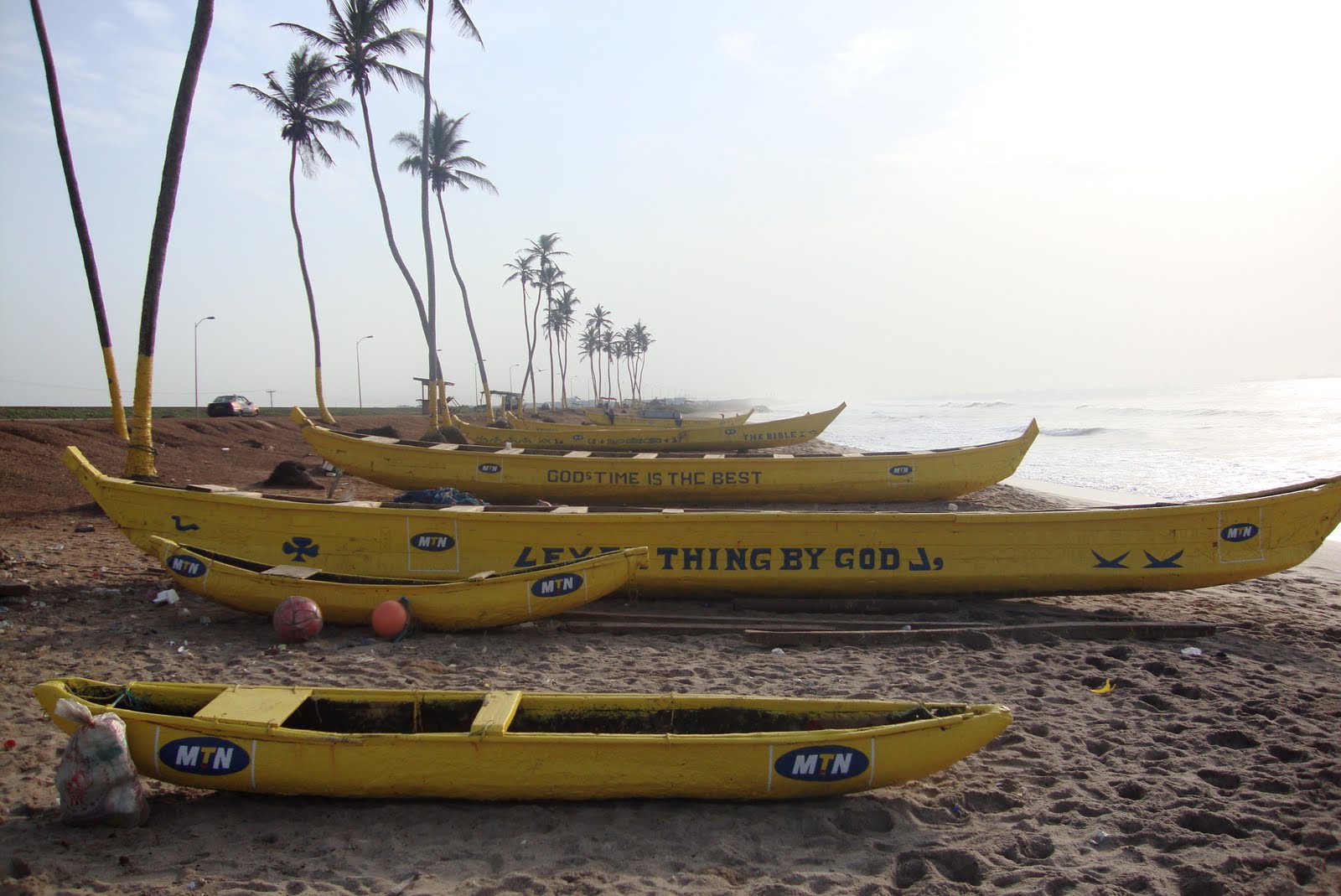 download the new anti najdorf