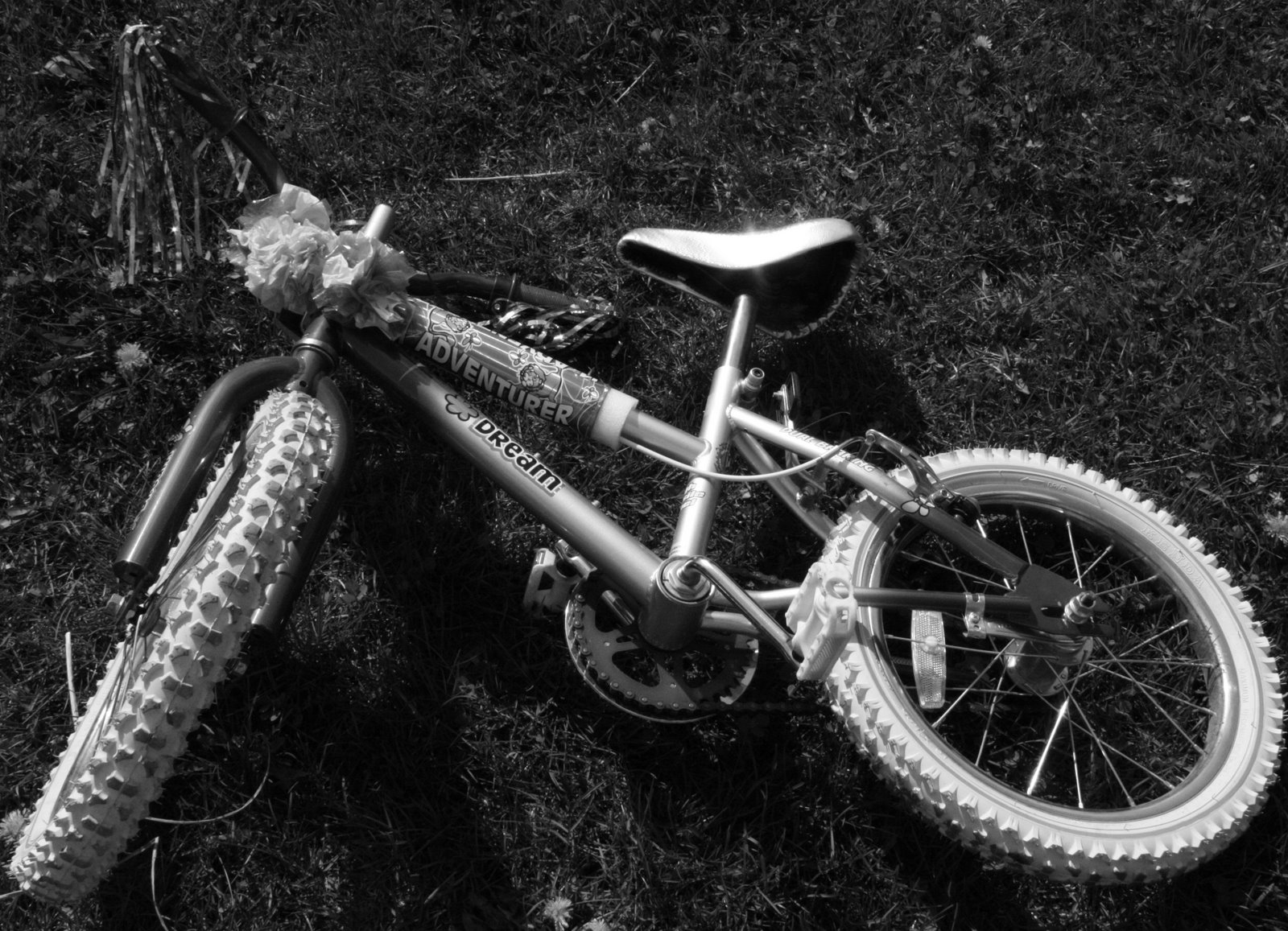 [BikeRiding.jpg]