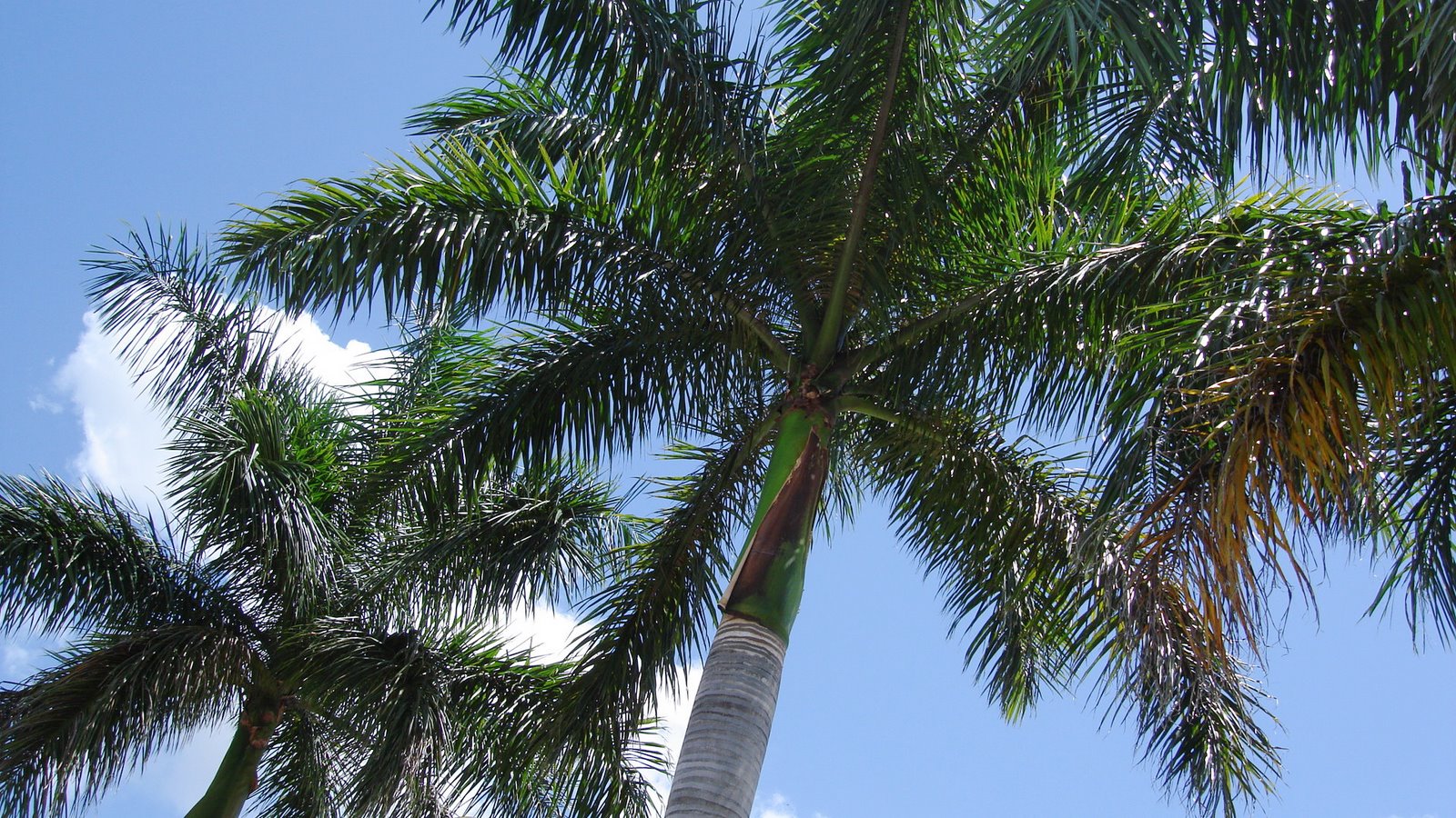 [DSC06138.JPG]